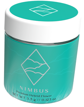 Nimbus Premium Hybrid Flower in Turquoise branded Jar