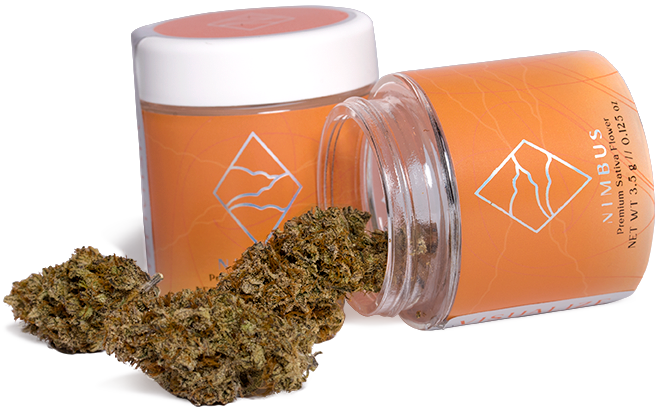 Nimbus Premium Sativa Flower in Orange branded Jar open on the side with cannabis flower coming out